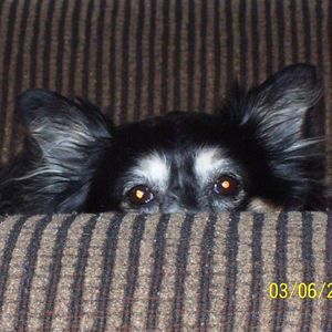 Meet your Posher, Adrien